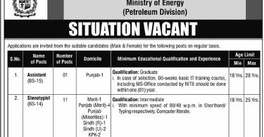 Situations Vacant in Ministry of Energy (Petroleum Division) Govt of Pakistan