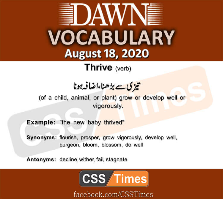 Daily DAWN News Vocabulary with Urdu Meaning (18 August 2020)