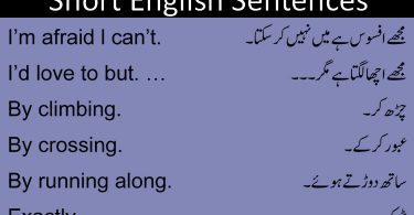 Daily Use English Sentences with Urdu Translation
