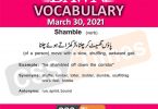 Daily DAWN News Vocabulary with Urdu Meaning (30 March 2021)