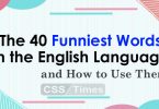 The 40 Funniest Words in the English Language | and How to Use Them