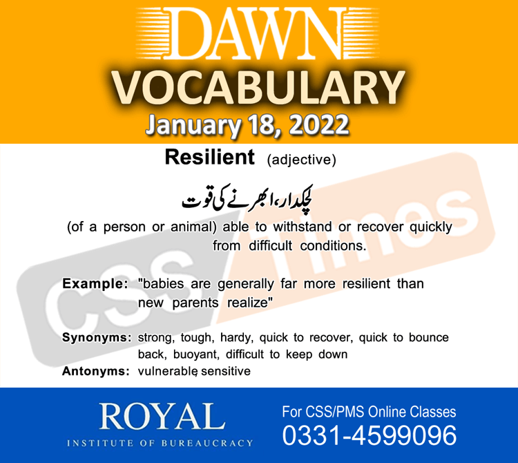 Daily DAWN News Vocabulary with Urdu Meaning (18 January 2022)