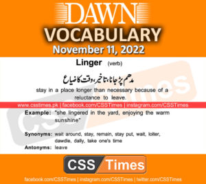 Daily DAWN News Vocabulary with Urdu Meaning (11 November 2022)