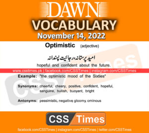 Daily DAWN News Vocabulary with Urdu Meaning (14 November 2022)
