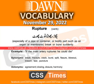 Daily DAWN News Vocabulary with Urdu Meaning (29 November 2022)