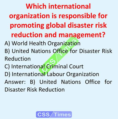 International Organizations MSCQs