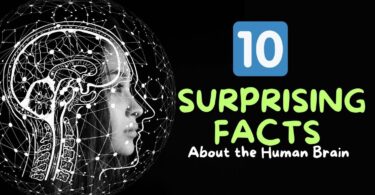 10 Surprising Facts About the Human Brain You Didn't Know