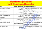 Important English Idioms with Meaning and Examples