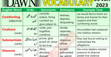 Daily DAWN News Vocabulary with Urdu Meaning 03 June 2023 1