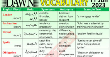 Daily DAWN News Vocabulary with Urdu Meaning (11 June 2023)