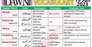 Daily DAWN News Vocabulary with Urdu Meaning (19 June 2023)