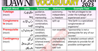 Daily DAWN News Vocabulary with Urdu Meaning (13 June 2023)
