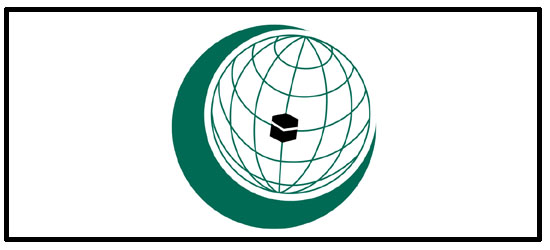 International Organizations World Health Organization
