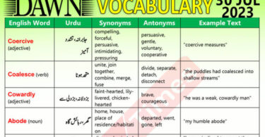 Daily DAWN News Vocabulary with Urdu Meaning (30 July 2023)