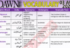 Daily DAWN News Vocabulary with Urdu Meaning (03 Aug 2023)