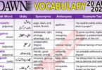 Daily DAWN News Vocabulary with Urdu Meaning (20 Aug 2023)