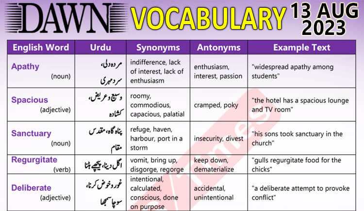 Daily DAWN News Vocabulary with Urdu Meaning (13 Aug 2023)