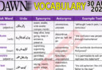 Daily DAWN News Vocabulary with Urdu Meaning (30 Aug 2023)