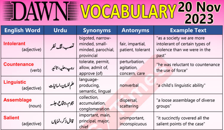 Daily DAWN News Vocabulary with Urdu Meaning (20 Nov 2023)