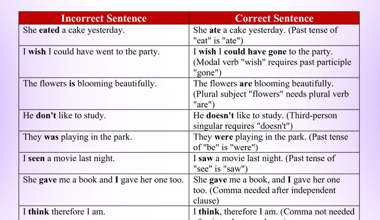 Correct vs Incorrect Sentences