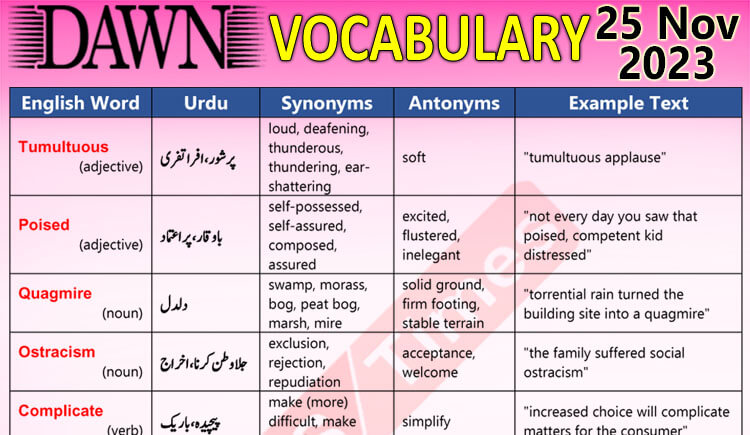 Daily DAWN News Vocabulary with Urdu Meaning (25 Nov 2023)