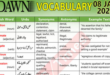 Daily DAWN News Vocabulary with Urdu Meaning (08 Jan 2024)