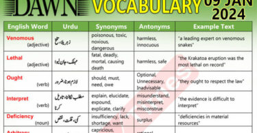 Daily DAWN News Vocabulary with Urdu Meaning (09 Jan 2024)