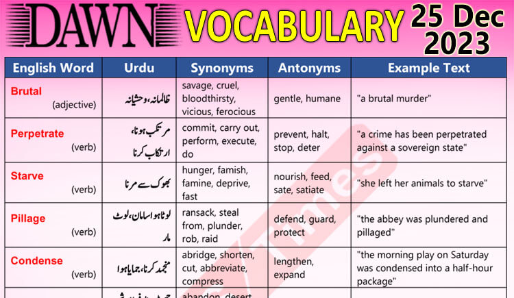Daily DAWN News Vocabulary with Urdu Meaning (25 Dec 2023)
