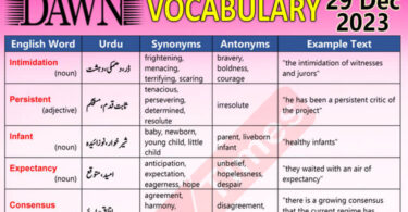Daily DAWN News Vocabulary with Urdu Meaning (29 Dec 2023)