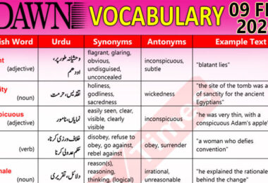 Daily DAWN News Vocabulary with Urdu Meaning (09 Feb 2024)