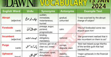 Daily DAWN News Vocabulary with Urdu Meaning (13 Jan 2024)