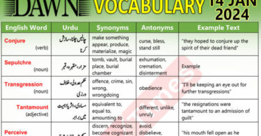 Daily DAWN News Vocabulary with Urdu Meaning (14 Jan 2024)
