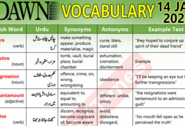 Daily DAWN News Vocabulary with Urdu Meaning (14 Jan 2024)