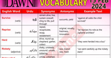 Daily DAWN News Vocabulary with Urdu Meaning (15 Feb 2024)
