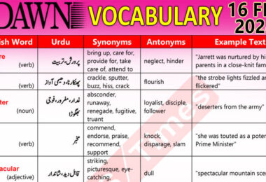 Daily DAWN News Vocabulary with Urdu Meaning (16 Feb 2024)