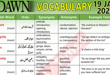 Daily DAWN News Vocabulary with Urdu Meaning (19 Jan 2024)