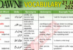 Daily DAWN News Vocabulary with Urdu Meaning (21 Jan 2024)