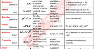 Daily DAWN News Vocabulary with Urdu Meaning (23 Jan 2024)
