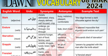 Daily DAWN News Vocabulary with Urdu Meaning (08 Mar 2024)