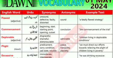 Daily DAWN News Vocabulary with Urdu Meaning (01 May 2024)