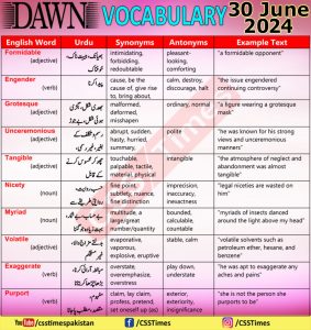 Daily DAWN News Vocabulary with Urdu Meaning (29 June 2024)